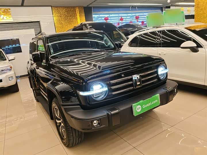 Фото 4 - Tank 300