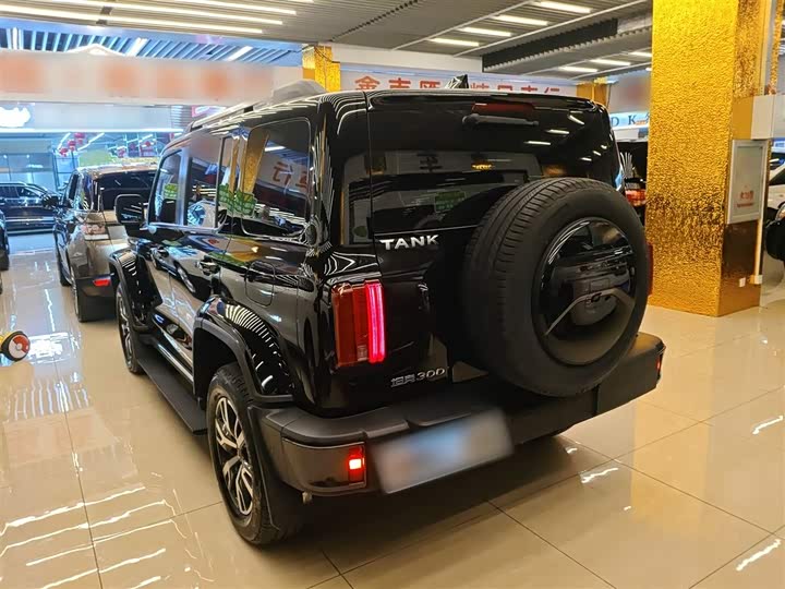 Фото 5 - Tank 300