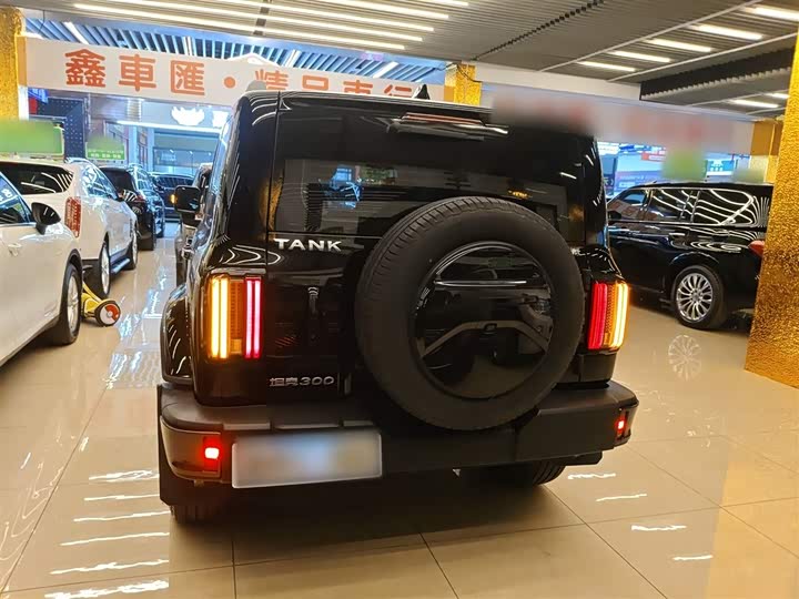 Фото 6 - Tank 300