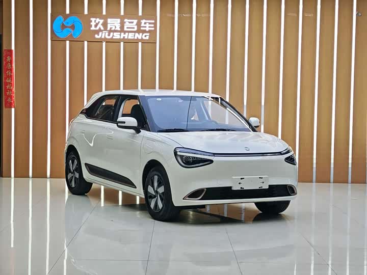 Фото 3 - Dongfeng Nammi 01