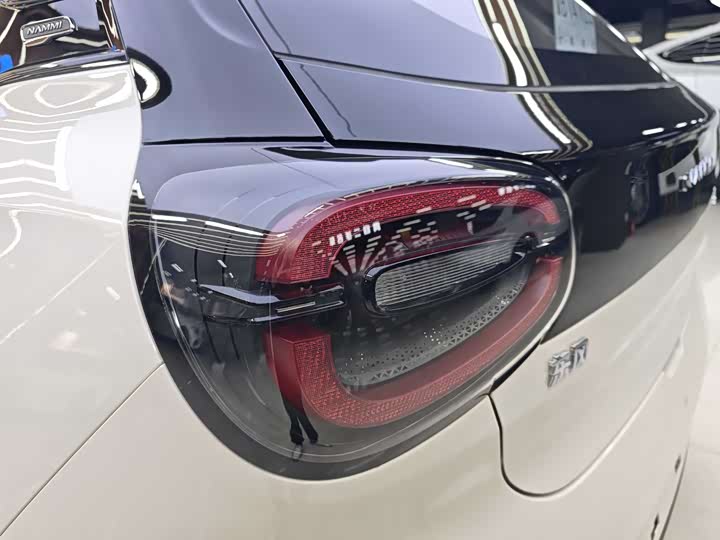 Фото 7 - Dongfeng Nammi 01