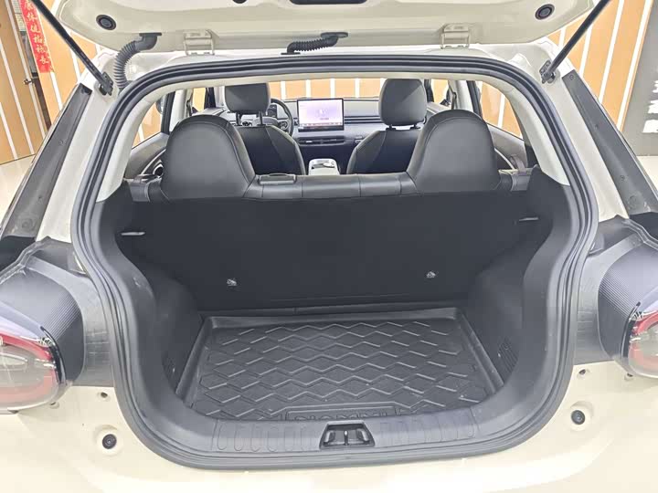 Фото 8 - Dongfeng Nammi 01