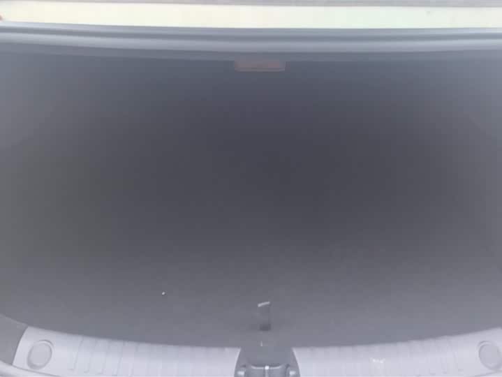 Фото 4 - BYD Han L