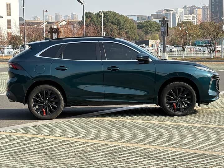 Фото 4 - Dongfeng Forthing T5 EVO