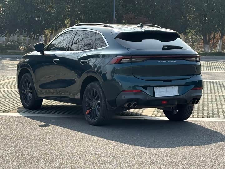 Фото 7 - Dongfeng Forthing T5 EVO