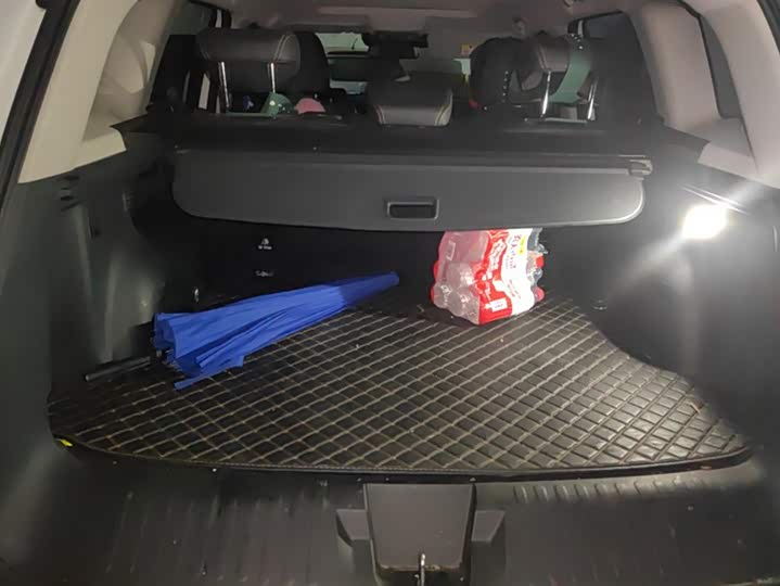 Фото 4 - Haval Dargo