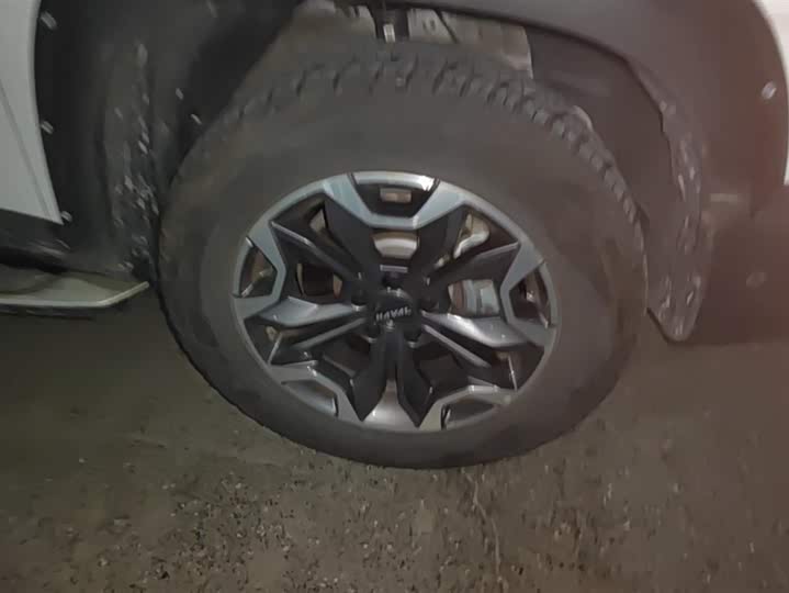 Фото 6 - Haval Dargo