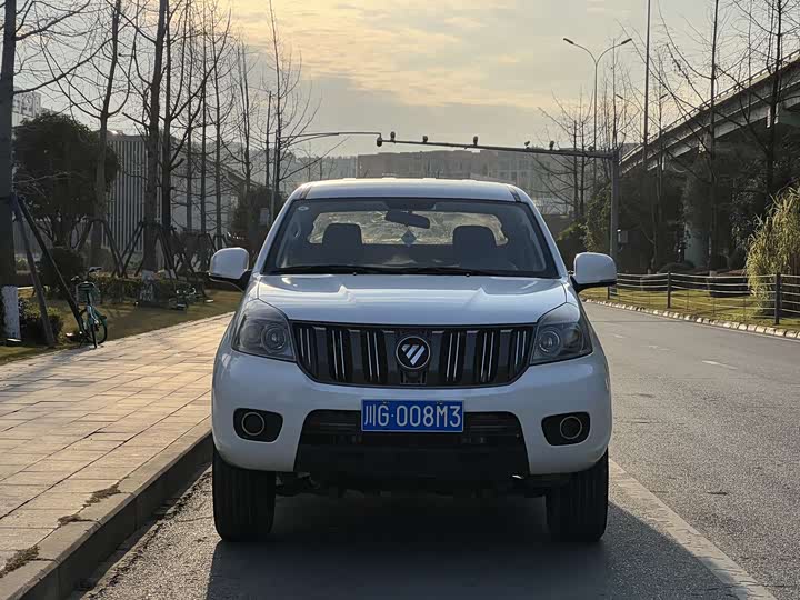 Фото 2 - Foton Conqueror 3