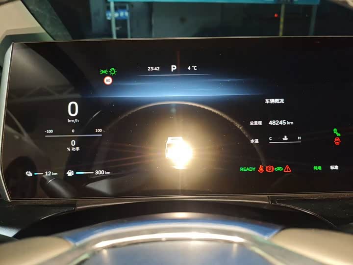 Фото 4 - Wey Gaoshan