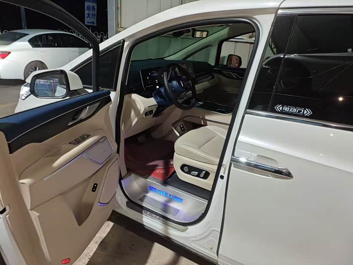 Фото 5 - Wey Gaoshan