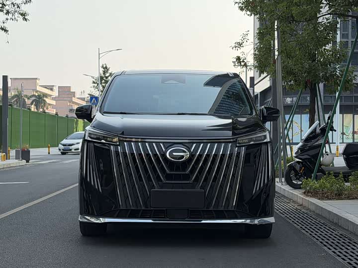 Фото 1 - GAC Trumpchi M8