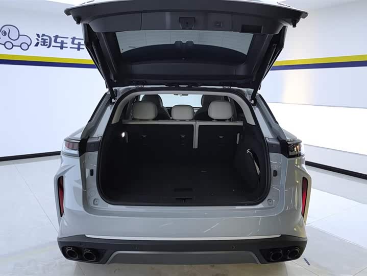 Фото 4 - Exeed RX C-DM Hybrid