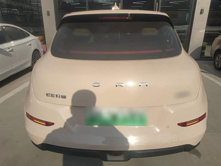 Фото 6 - Ora Good Cat (03)