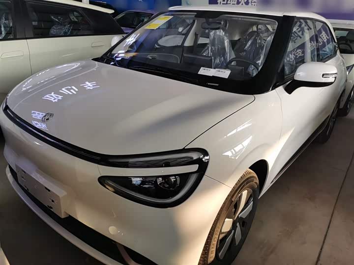 Фото 2 - Dongfeng Nammi 01