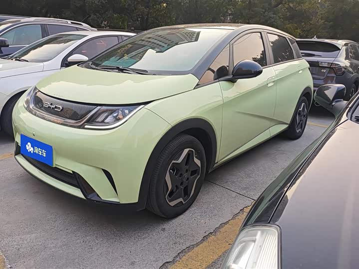 Фото 1 - BYD Dolphin