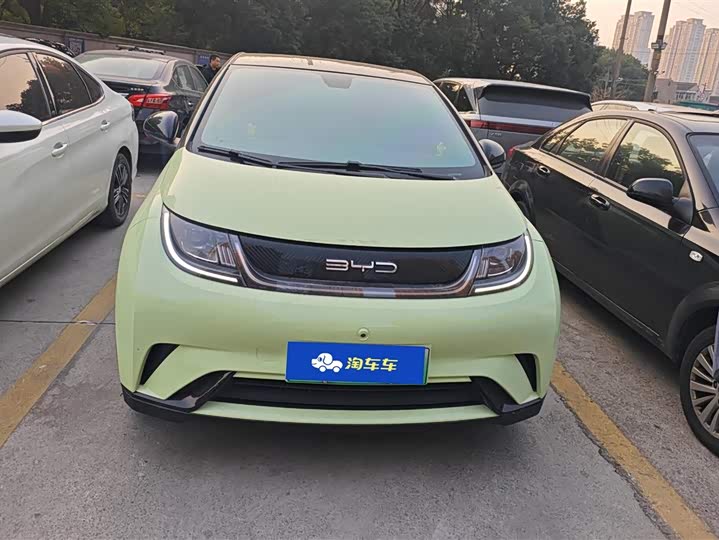 Фото 2 - BYD Dolphin