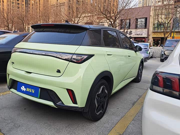 Фото 3 - BYD Dolphin