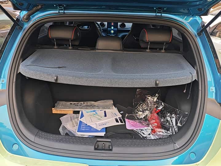 Фото 4 - BYD Dolphin