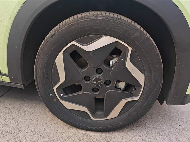 Фото 6 - BYD Dolphin