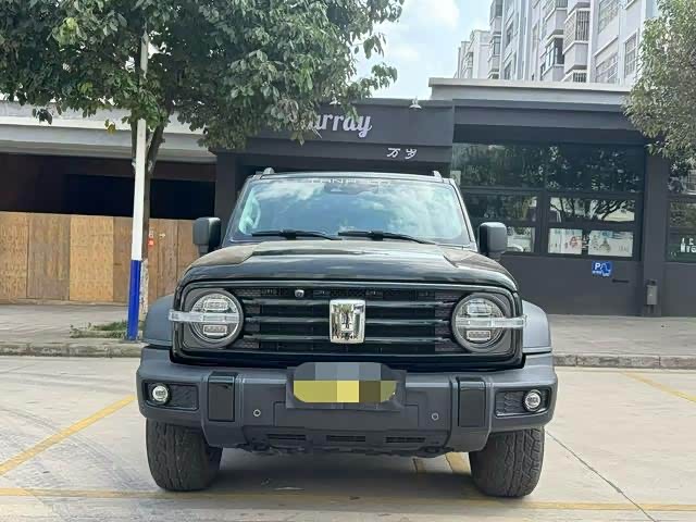 Фото 2 - Tank 300