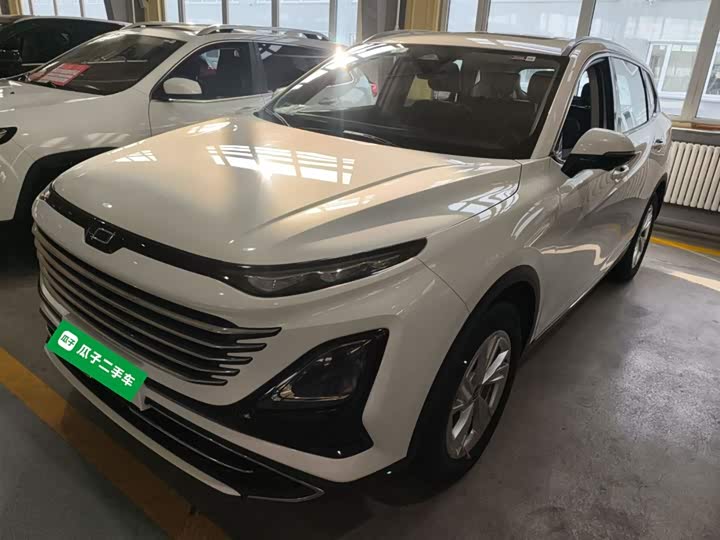 Фото 2 - Bestune T90