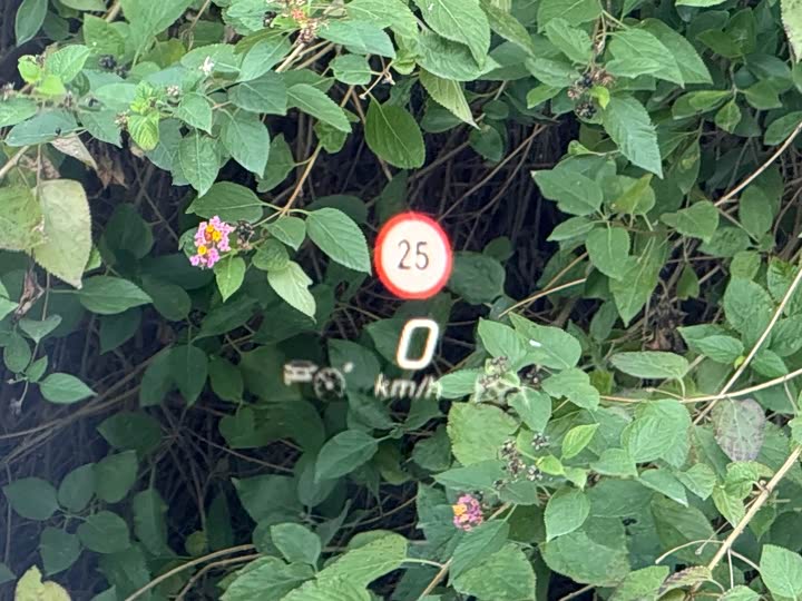 Фото 9 - Mercedes-Benz Maybach S-Class