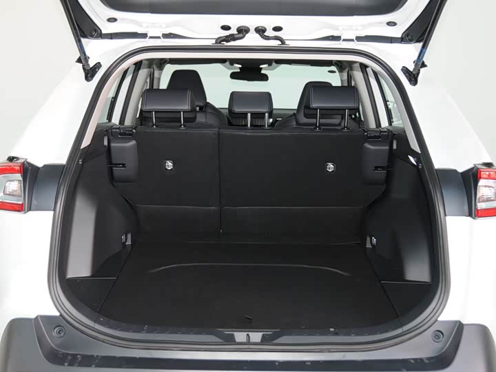 Фото 7 - Toyota Wildlander