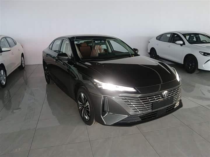 Фото 4 - Changan Eado EV