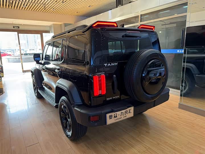 Фото 4 - Tank 300