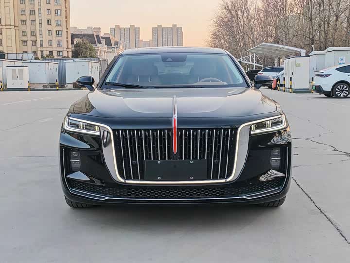 Фото 2 - Hongqi H9