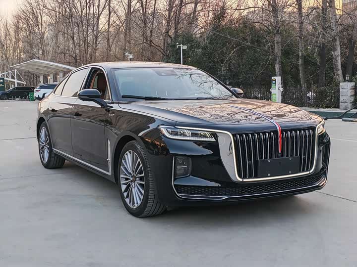 Фото 3 - Hongqi H9