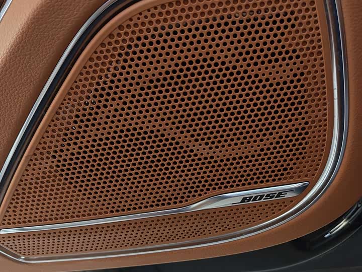 Фото 5 - Hongqi H9