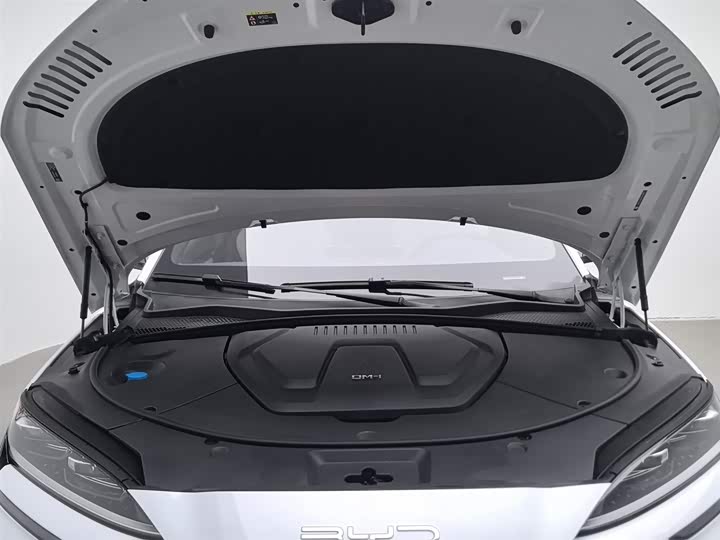 Фото 6 - BYD Song Plus Hybrid/EV