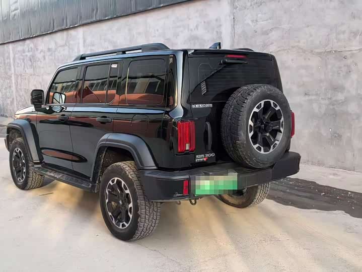 Фото 2 - Tank 300 Hybrid