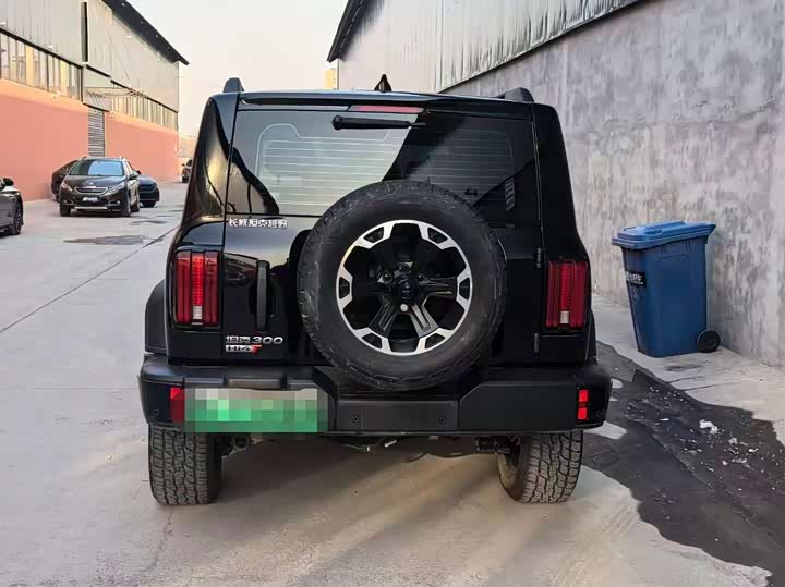 Фото 4 - Tank 300 Hybrid