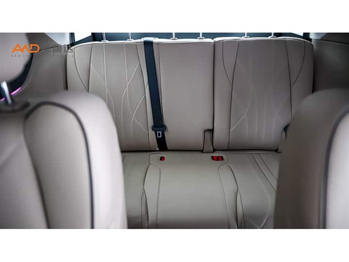 Фото 9 - XPeng X9