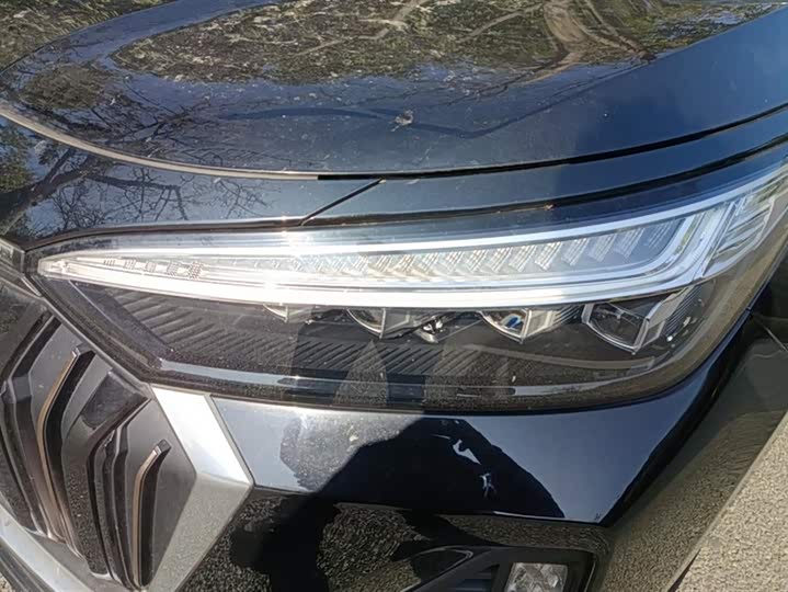 Фото 5 - Exeed VX