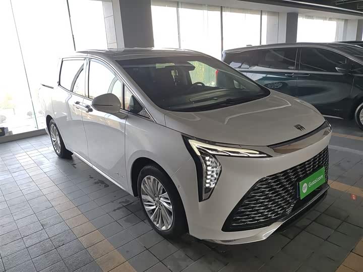 Фото 4 - Buick GL8 Century