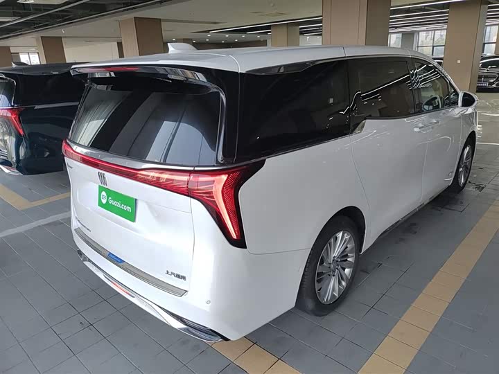 Фото 7 - Buick GL8 Century