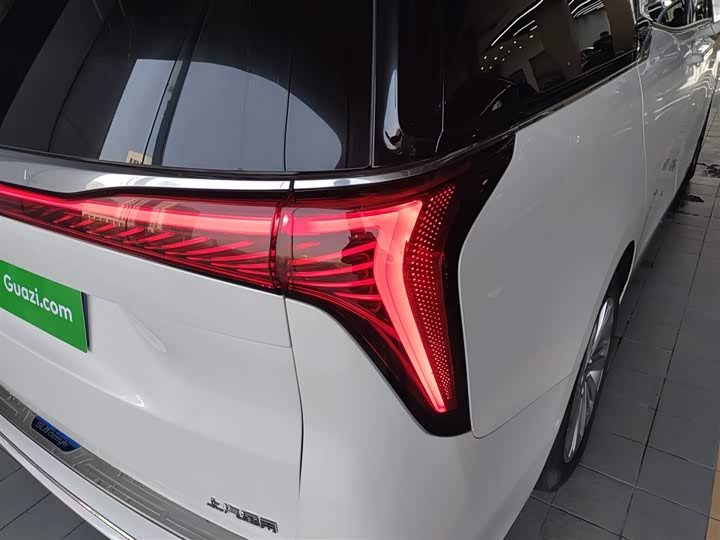 Фото 8 - Buick GL8 Century