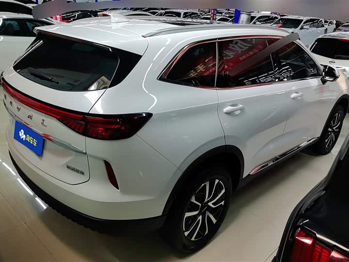 Фото 3 - Haval H6