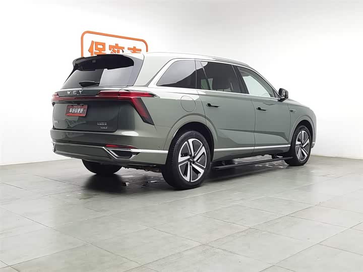 Фото 2 - Wey Lanshan