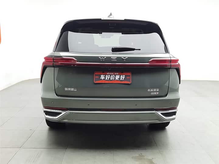 Фото 4 - Wey Lanshan