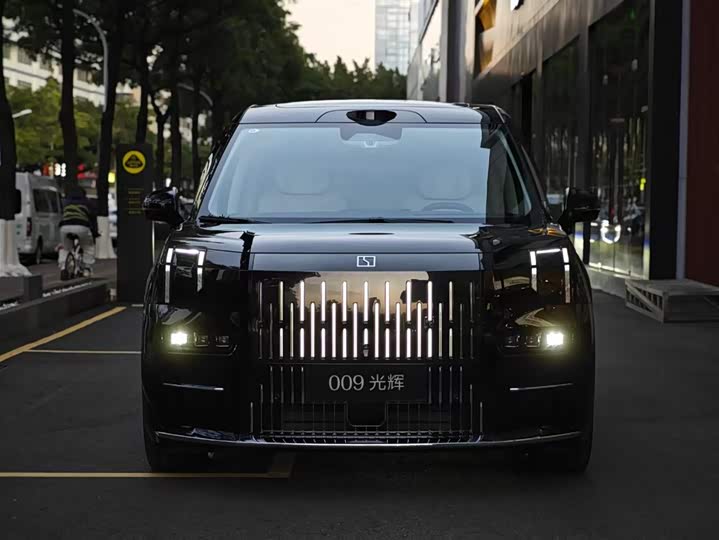 Фото 2 - Zeekr 009