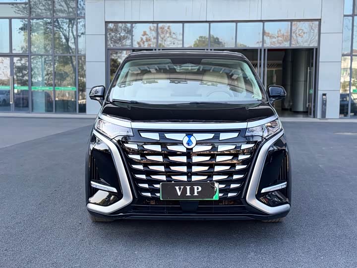 Фото 2 - Denza D9