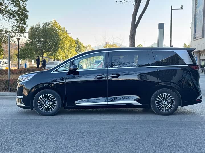 Фото 3 - Denza D9