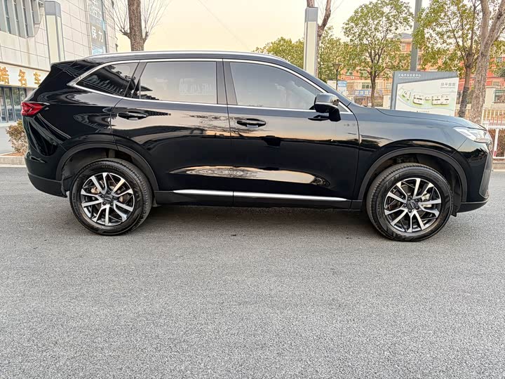 Фото 4 - Haval H6