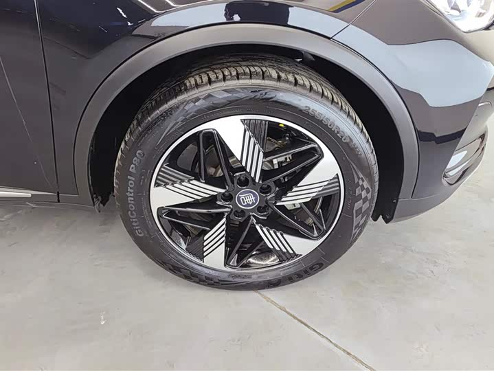 Фото 6 - BYD Tang Hybrid/EV