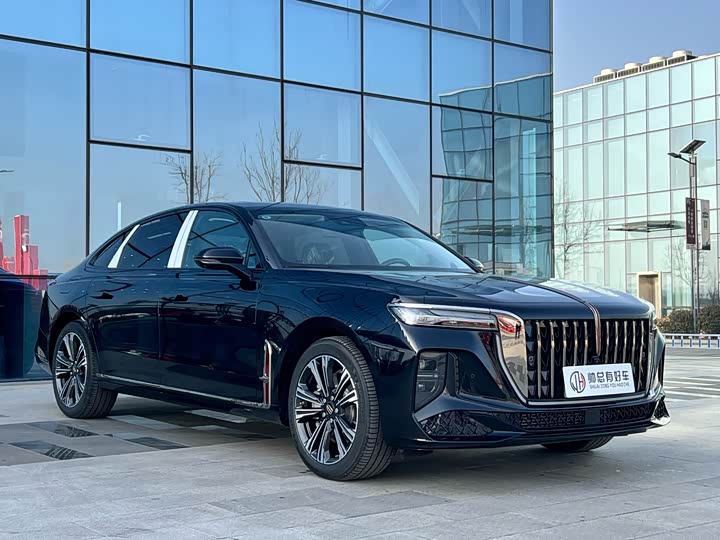 Фото 3 - Hongqi H9