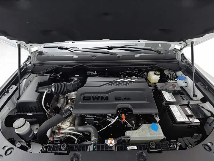 Фото 6 - Great Wall Pao